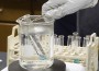 169science_general_495_278 169science_general_495_278