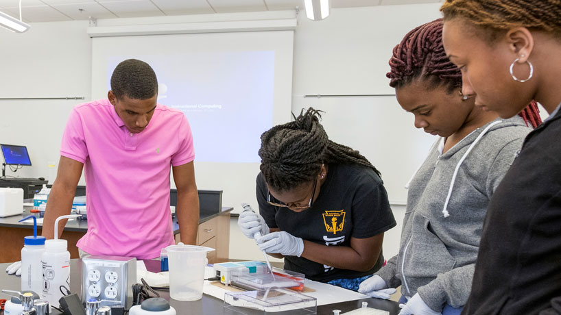 Jennings High School students (from left to right) Trevor Gillespie, Paris Siggers and Angel Cole wrap up their last week in the UMSL and Project Lead The Way summer intern program running extracting DNA from avian blood samples and running PCR to see if the malaria parasites is present. (Photo by August Jennewein)