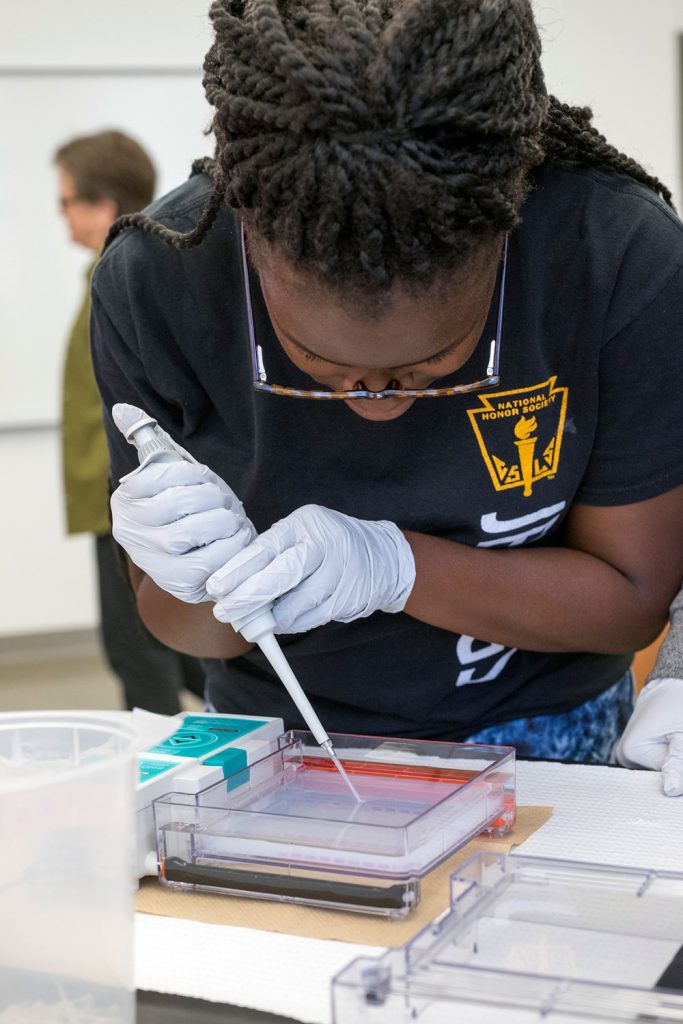 Paris Siggers, a senior at Jennings High School this year, loads a gel with avian DNA during the last week of her internship at UMSL. Siggers spent the other weeks in Assistant Professor Michael Hughes' lab studying the genetics of circadian rhythms.