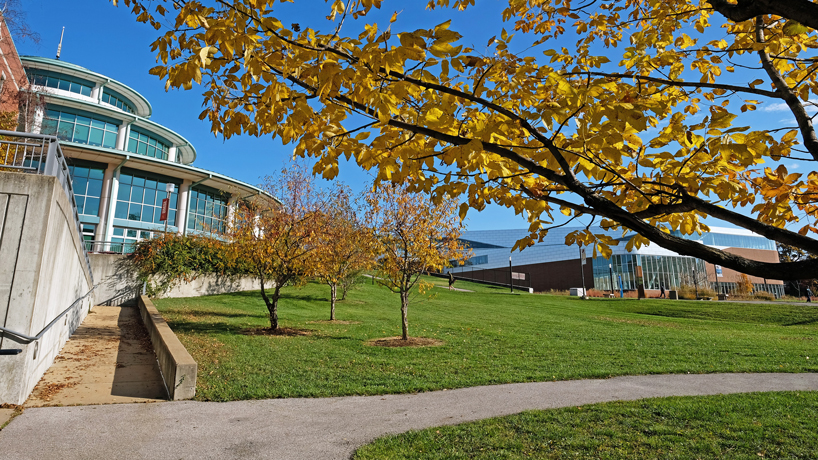 Millennium Student Center with fall leaves in the foreground