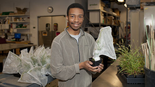 From dollar store to microbiology: Student gets his dream job