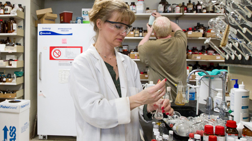 UMSL chemistry alumna praised for research excellence