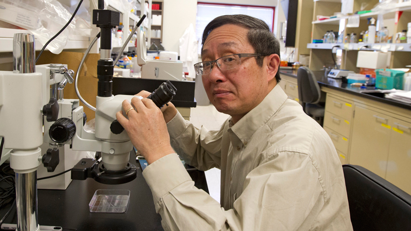 Biologist earns Chancellor’s Award for Excellence in Research and Creativity