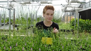 Kaylyn Bauer, UMSL junior majoring in biochemistry and biotechnology
