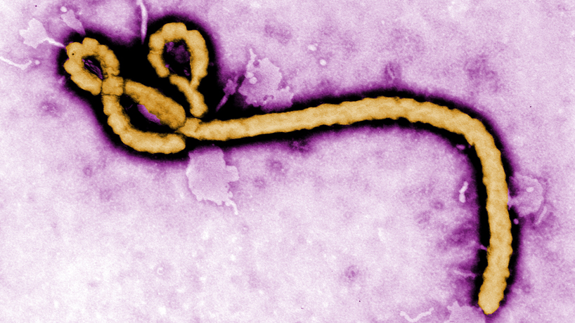 International response to Ebola focus of guest lecturer