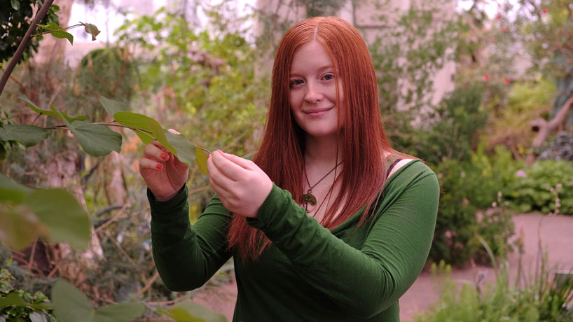 Senior biology major Rachel Becknell studied the endangered species commonly called Pyne's ground plum through a research internship at the Missouri Botanical Garden's Shaw Nature Reserve.
