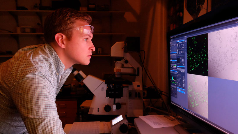 Joe Meisel, a doctoral student in chemistry, views cells that glow green after successful “transfection” of DNA, a method that could build to a future cure for genetic disease. The research won him the 2015 Ciel DeGutis Award. (Photo by August Jennewein)