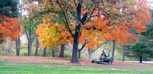 Eye on UMSL: Autumn mulch