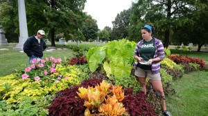 Stowe and Anderson observe one of the nonnative flower beds for pollinators at the entrance to Bellefontaine Cemetery.