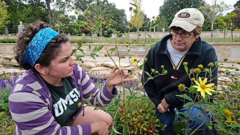 Students research pollinators at local cemetery