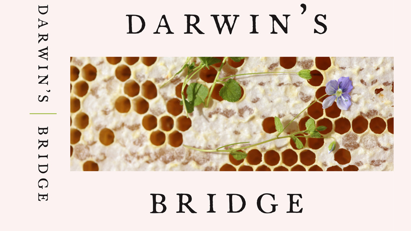 English professor partners with E. O. Wilson on ‘Darwin’s Bridge,’ heads up new journal