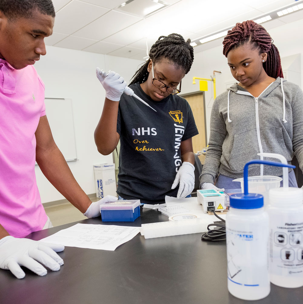 Gillespie, Siggers and Cole double check their process as they load a gel with avian DNA before testing it for the presence of the malaria parasite.
