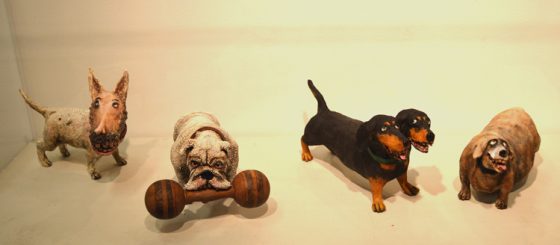 Various dogs on display