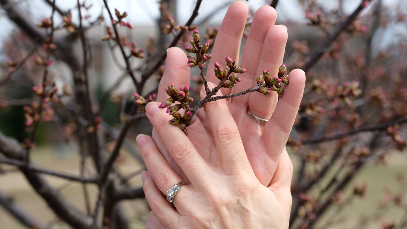 5 couples who found lasting love at UMSL share their stories of meeting on campus