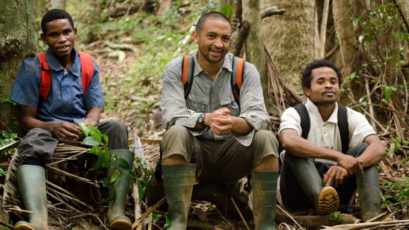 Biology doctoral student Fidisoa Rasambainarivo (center) studies the disease transmission from domestic animals to wildlife of the Betampona Natural Reserve in Madagascar. Accompanying him to set traps and capture animals are natural reserve guides and local veterinary students Flavien (at left) and Victorice (at right). Rasambainarivo’s joint research through UMSL and the Saint Louis Zoo is funded by a fellowship through UMSL's Whitney R. Harris World Ecology Center. (Photos by Fidisoa Rasambainarivo)
