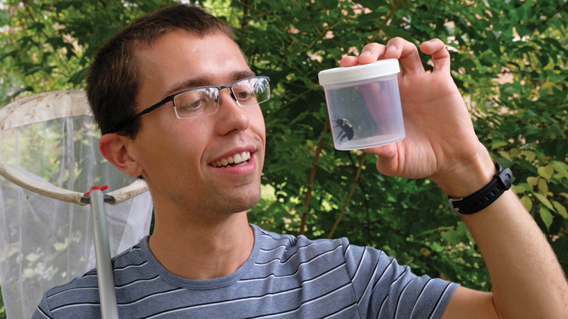 Doctoral student Matt Austin tries to unlock mystery behind bumblebee populations