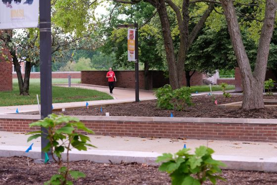 The Quad renovations