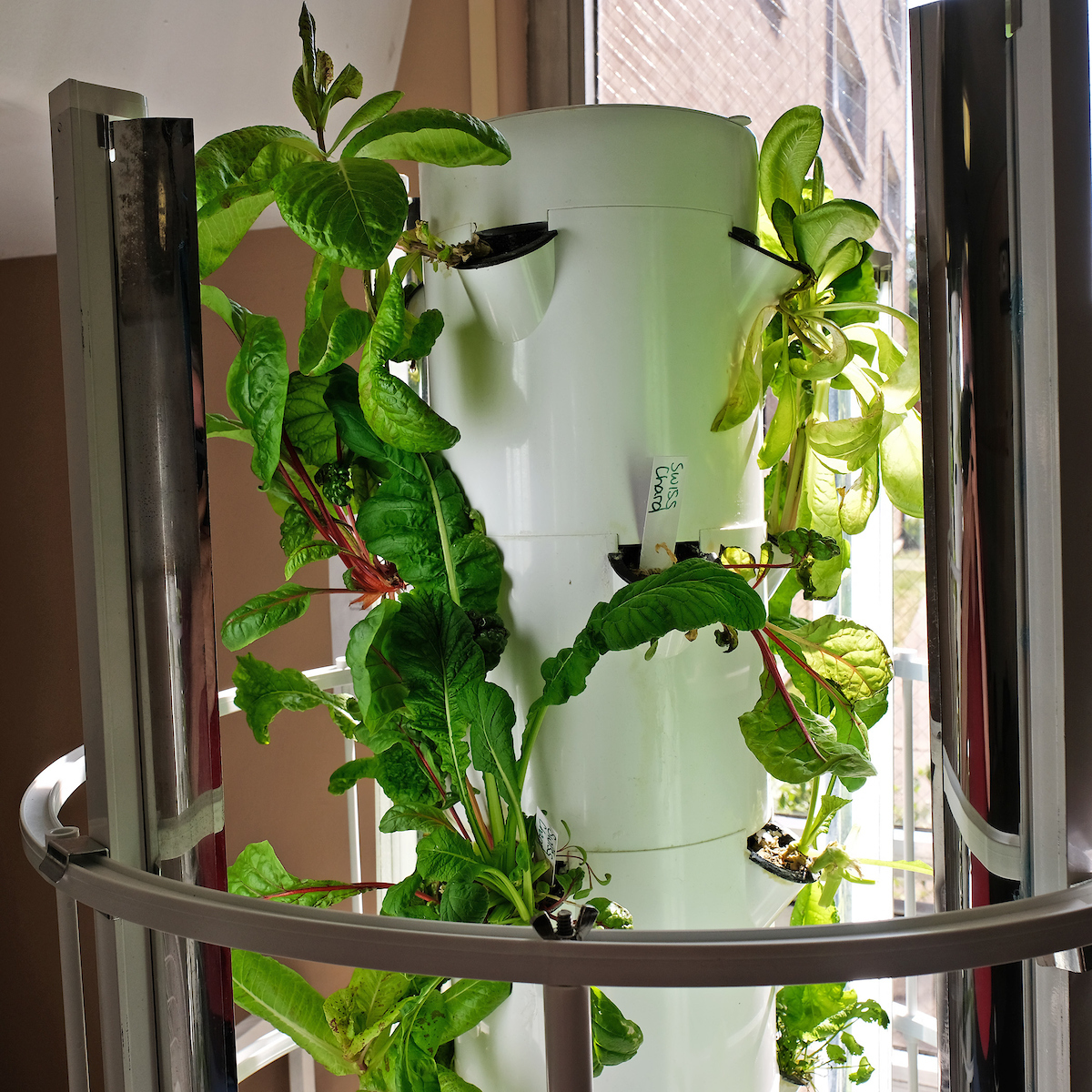 Aeroponic tower