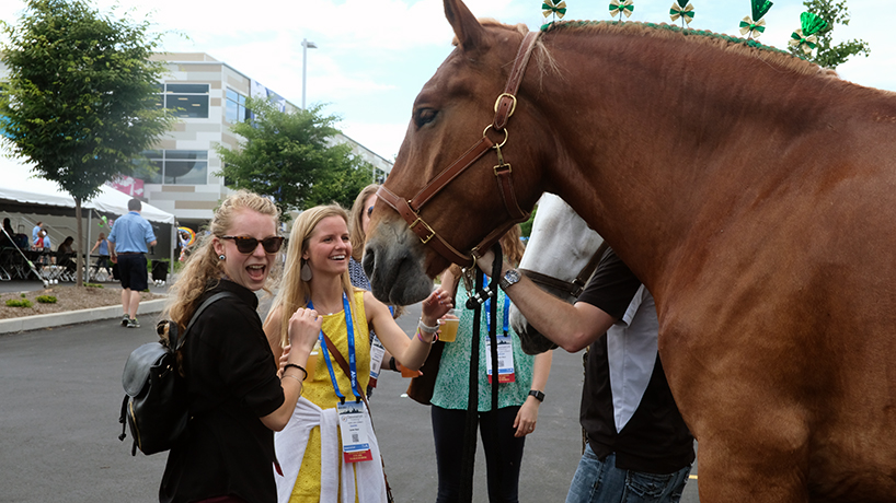 From left: Jessica Broodryk, Lauren Ward, Rebecca Weinberger and Madison Moss greet the horses at the AOA and AOSA Block Part on Wednesday. (Photos by Jessica Rogen)