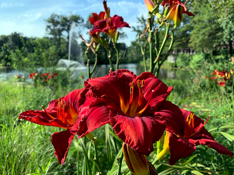 Eye on UMSL: School colors