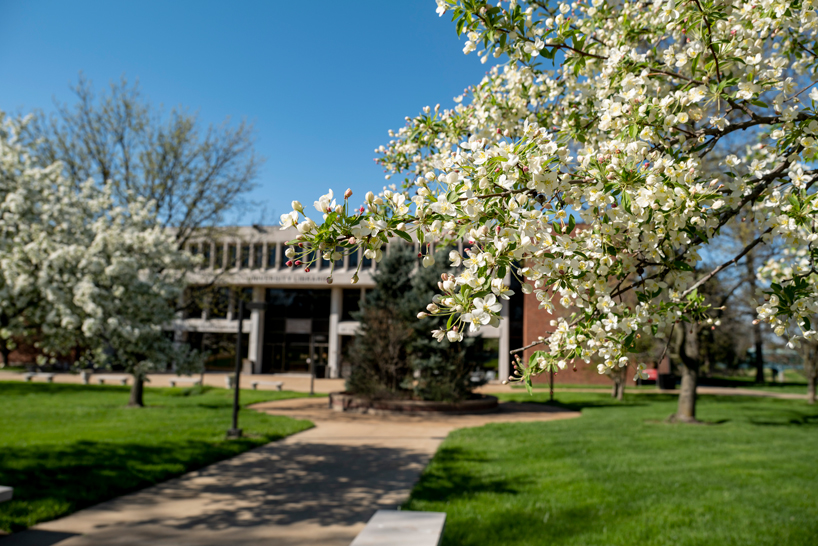 UMSL in bloom: Spring comes to campus during stay-at-home - UMSL Daily | UMSL Daily