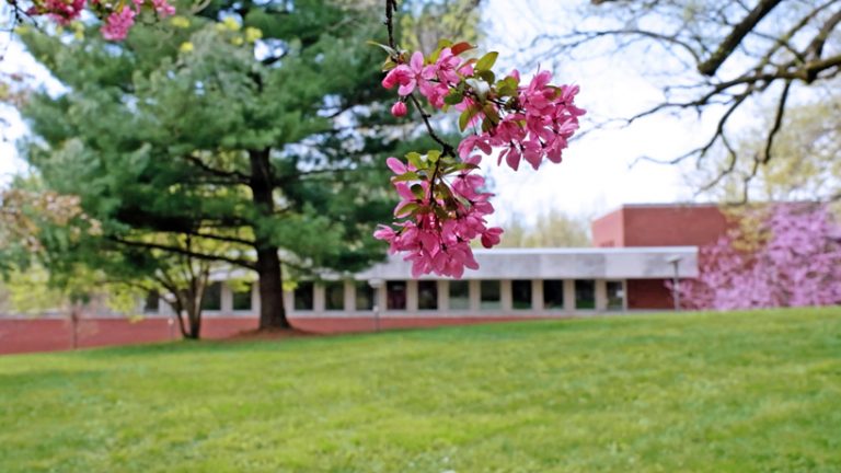 UMSL in bloom: Spring comes to campus during stay-at-home - UMSL Daily