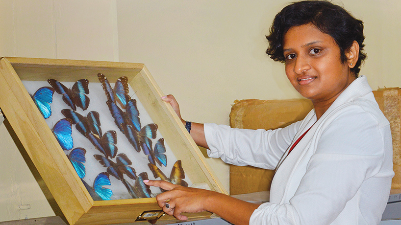 Gyanpriya Maharaj studies Guyana’s biodiversity, ecology and butterflies