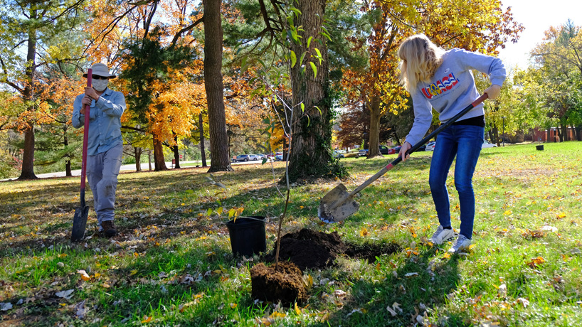 Eye on UMSL: Arbor Day celebration