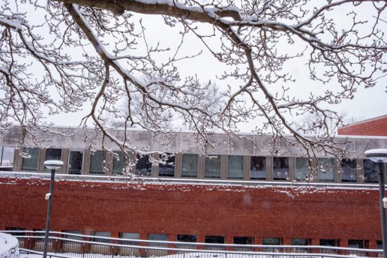 Snowfall outside the College of Nursing