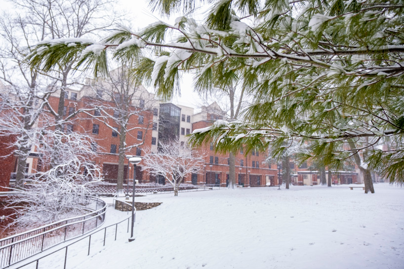 Snow outside Oak Hall