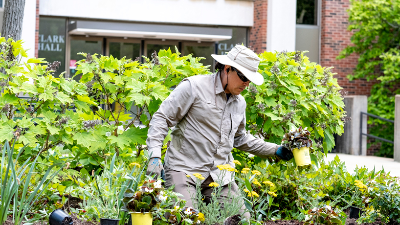 Eye on UMSL: Spring planting