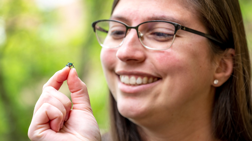 Andreia Figueiredo following passion for biology, bees to earn PhD at UMSL