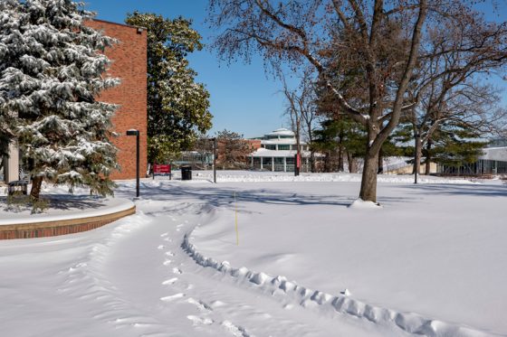 Snow blankets North Campus with the MSC in the distance
