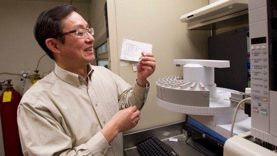 Professor Xuemin (Sam) Wang checks research sample