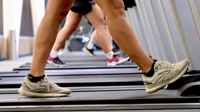 Three pairs of legs walking on a row of treadmills in the Recreation and Wellness Center