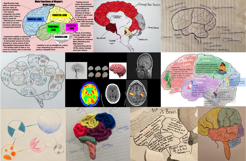 Collage of artwork created by mentees depicting the brain