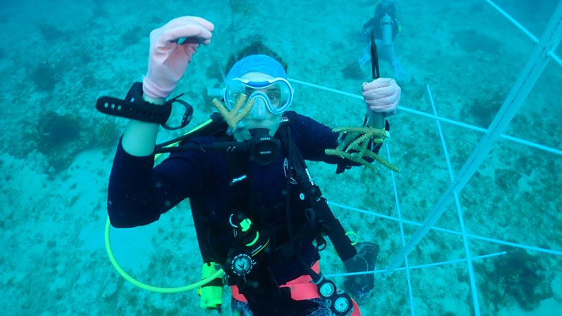 UMSL alumna Marina Villoch researches and restores coral reefs in the Florida Keys