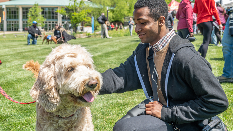 Graphic and computer design major Jeremiah Robinson relaxes while petting Sophie, a 4-year-old Goldendoodle, outside the Millennium Student Center