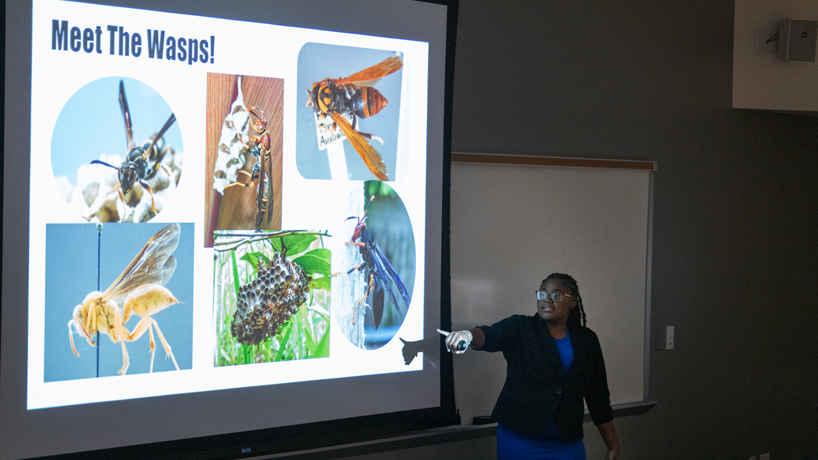 Somir Wilson presents her research on wasps during the CLIMB closing event in Benton Hall