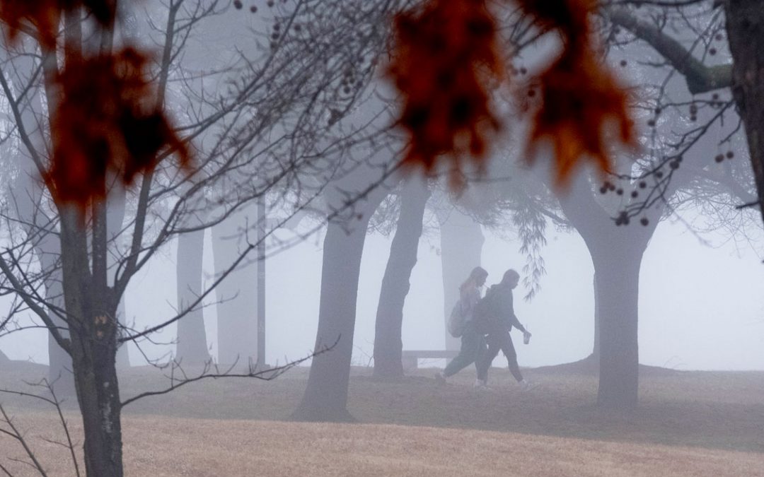 Eye on UMSL: Through the fog