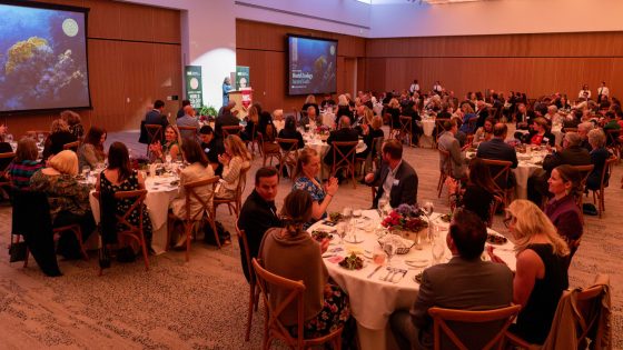 The audience at the 25th World Ecology Award Gala, held at the Missouri Botanical Garden
