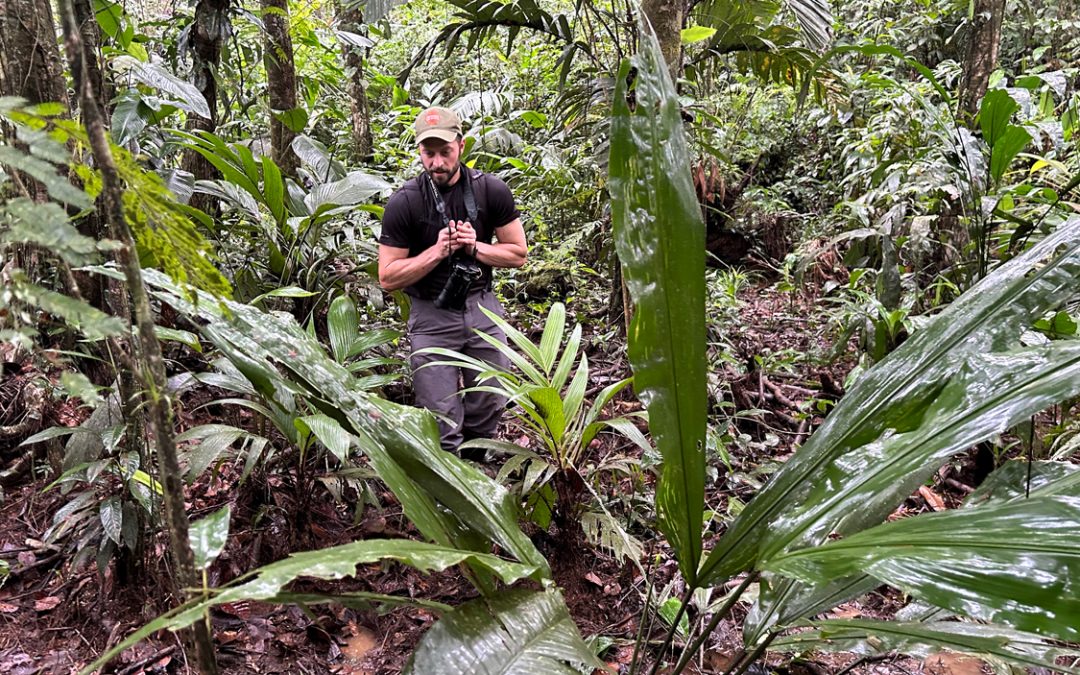 Biology PhD alum Eliot Miller taps into new data sources to study bird populations and advocate for habitat preservation