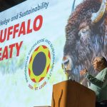 Leroy Little Bear speaking about The Buffalo Treaty