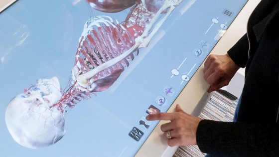 Rebecca Polich adjusts the settings on the Anatomage Table while displaying the skeleton of a pregnant woman