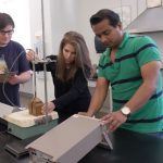 Engineering students work in a lab