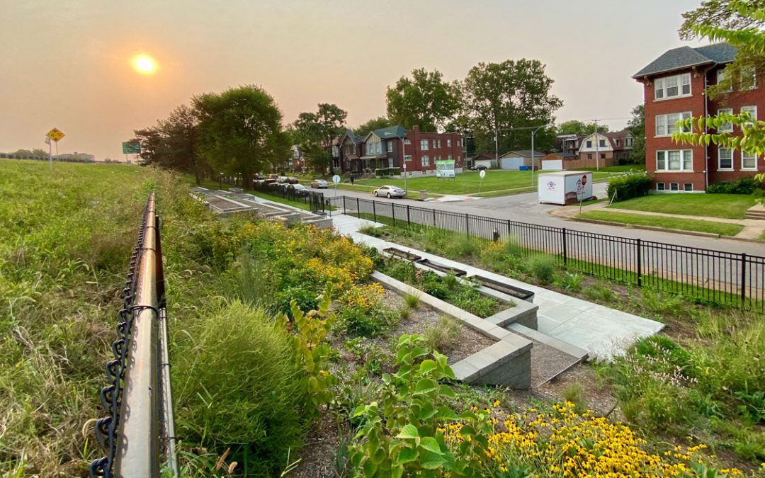 UMSL biologist Aimee Dunlap launching multiyear study of bee behaviors at Green House Venture’s Embankment Greenway