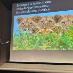 Craig Packer, the director of The Lion Center at the University of Minnesota, delivers the 2025 Jane and Whitney Harris Lecture in The Living World at the Saint Louis Zoo