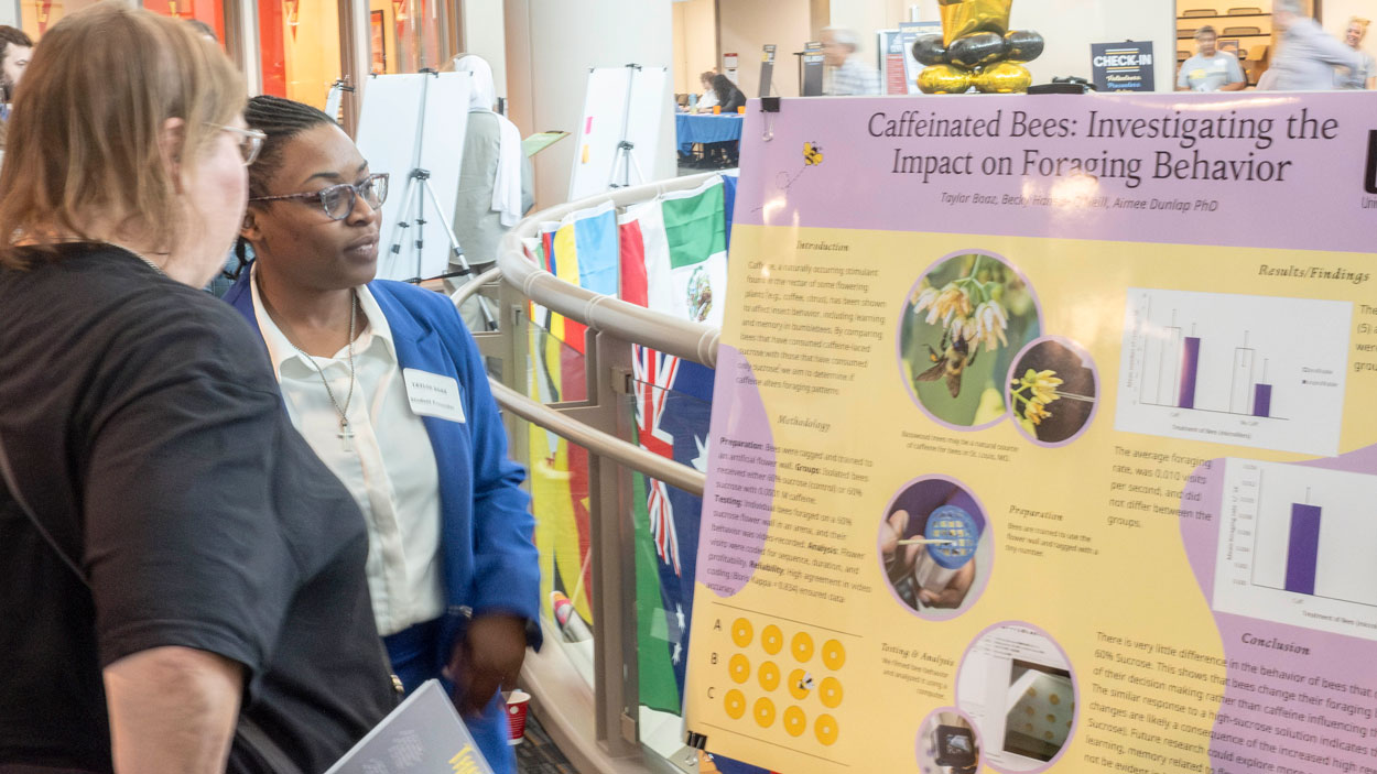 Taylor Boaz discusses her research on caffeinated bees at the Undergraduate Research Symposium