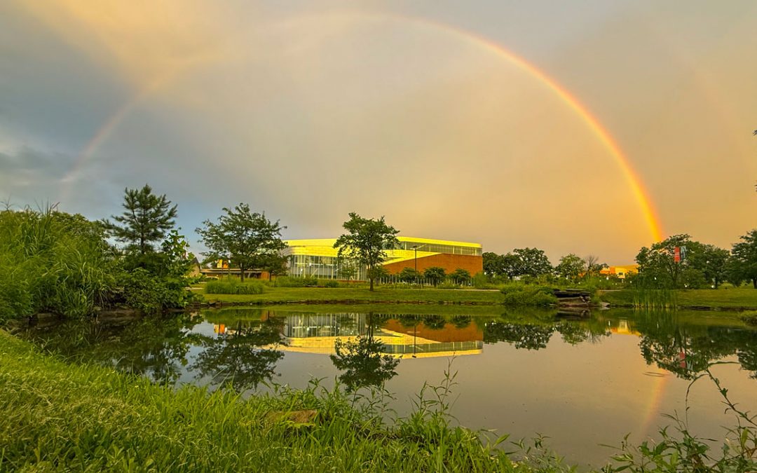 Eye on UMSL: A reflective moment