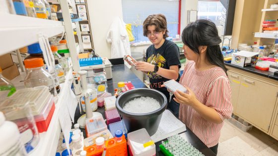 CLIMB intern Charlie Saunders works with biology graduate student Shaohua Tang in the lab of Professor Xuemin Wang